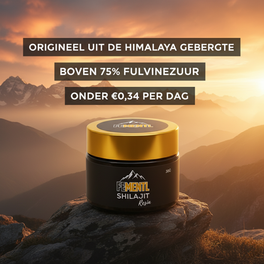 Gezondheidsvoordelen van Himalaya Shilajit: Traditionele Kracht in de Moderne Tijd: